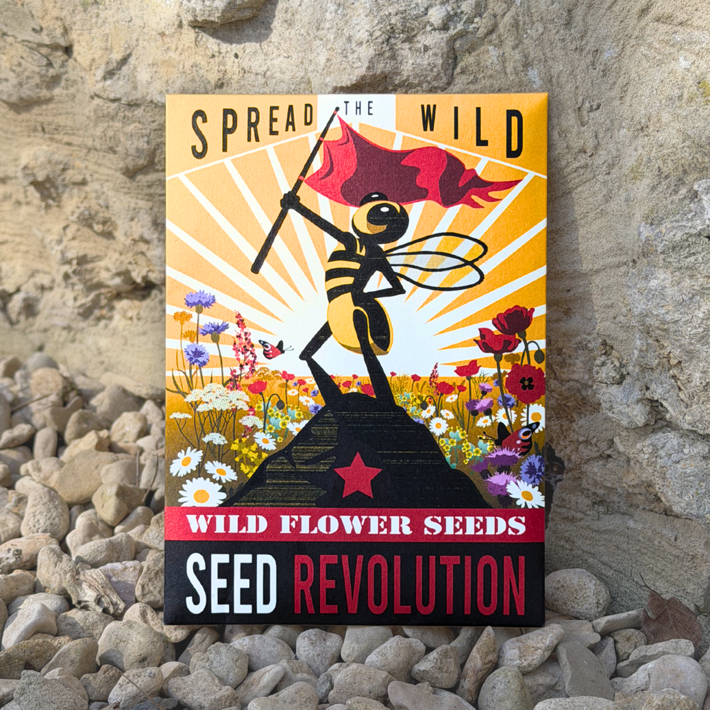 Wildflower Seed Mix