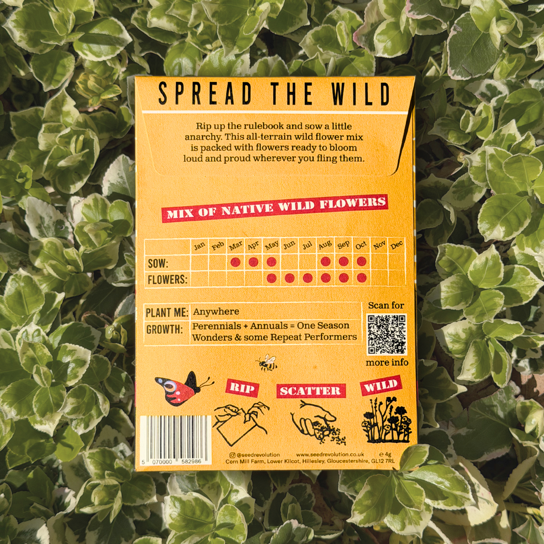 Wildflower Seed Mix