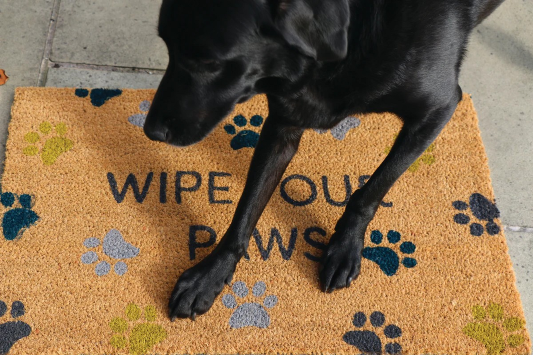 Wipe Your Paws Printed Coir Door Mat