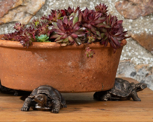 Tortoise Plant Pot Feet – Set of 3