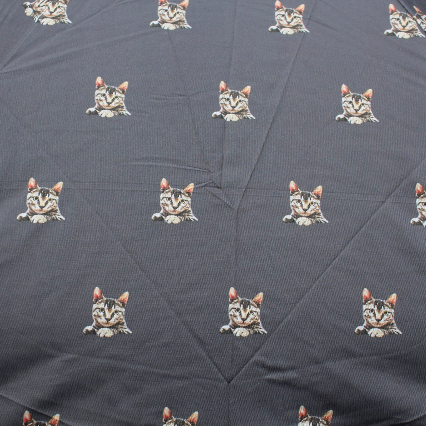 'Meow' Compact Umbrella