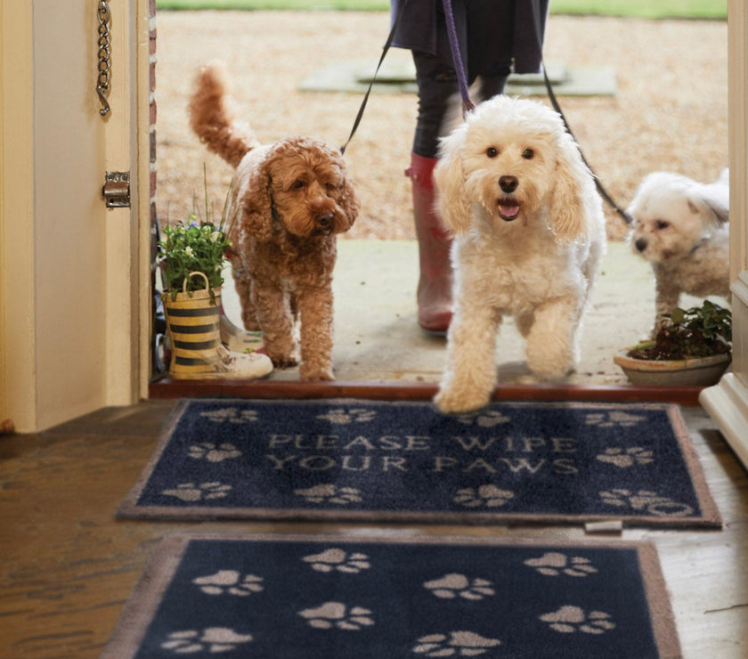 Please Wipe Your Paws Washable Door Mat