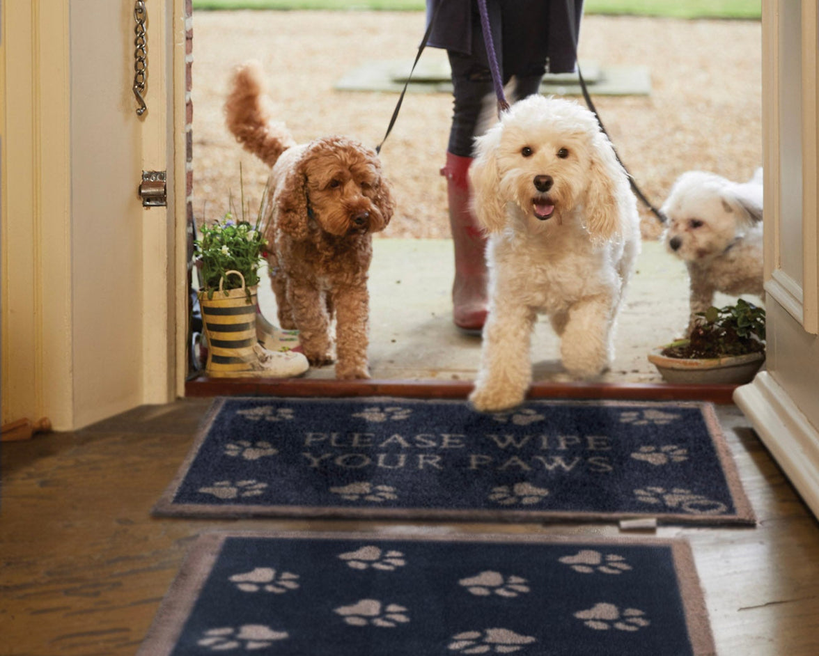 Please Wipe Your Paws Washable Door Mat