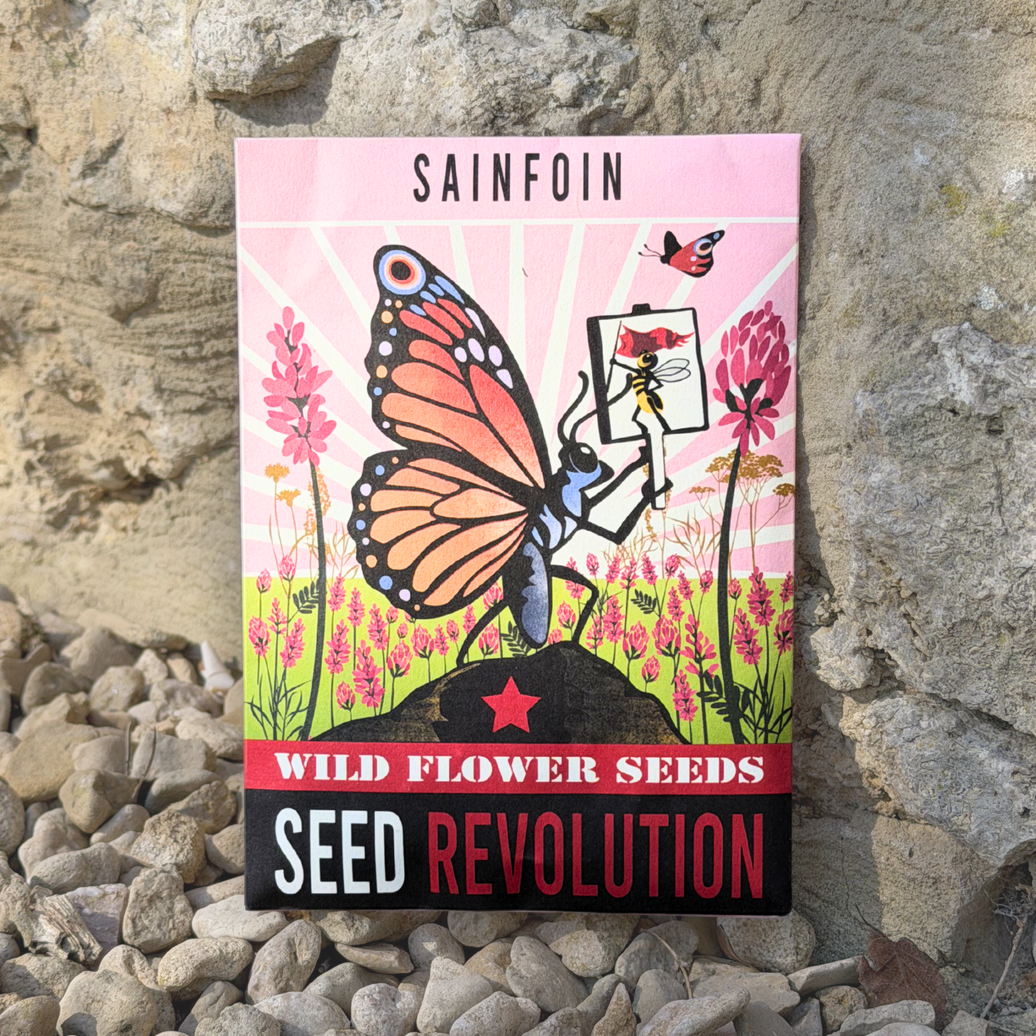 Sainfoin Native Wildflower Seeds