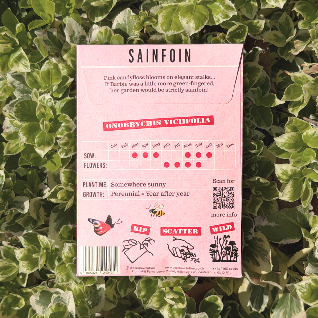 Sainfoin Native Wildflower Seeds