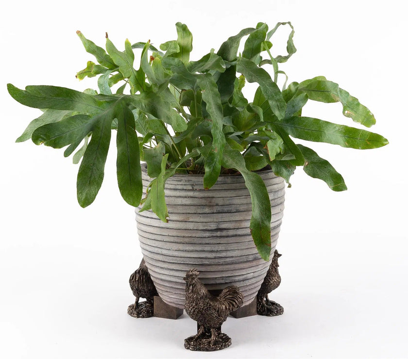 Chicken Plant Pot Feet