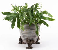 Chicken Plant Pot Feet