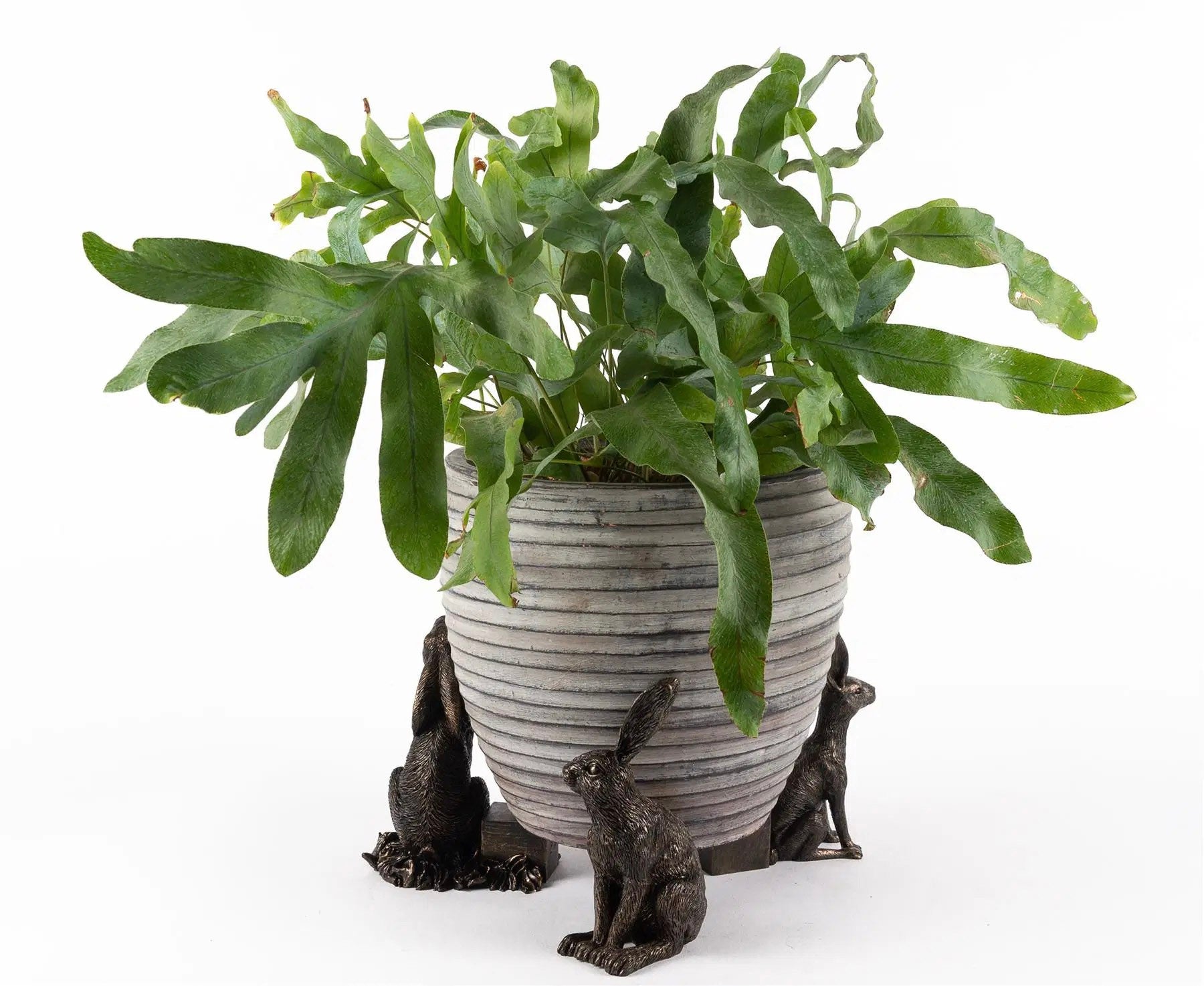 Drove of Hares Plant Pot Feet