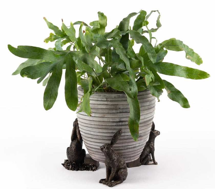Drove of Hares Plant Pot Feet