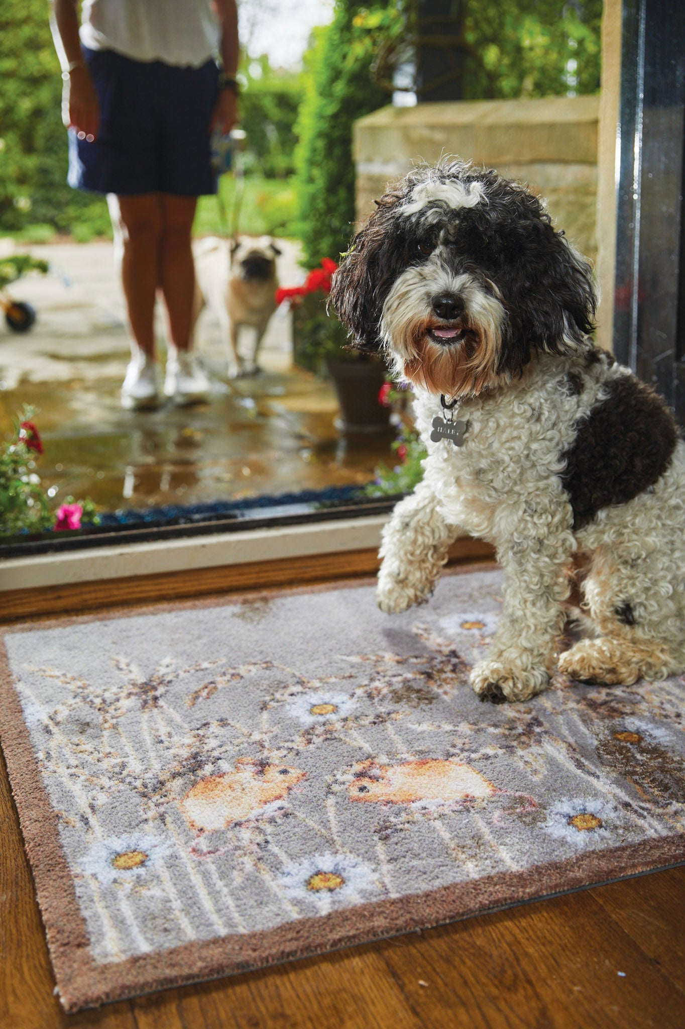 Country Field Mice Washable Door Mat