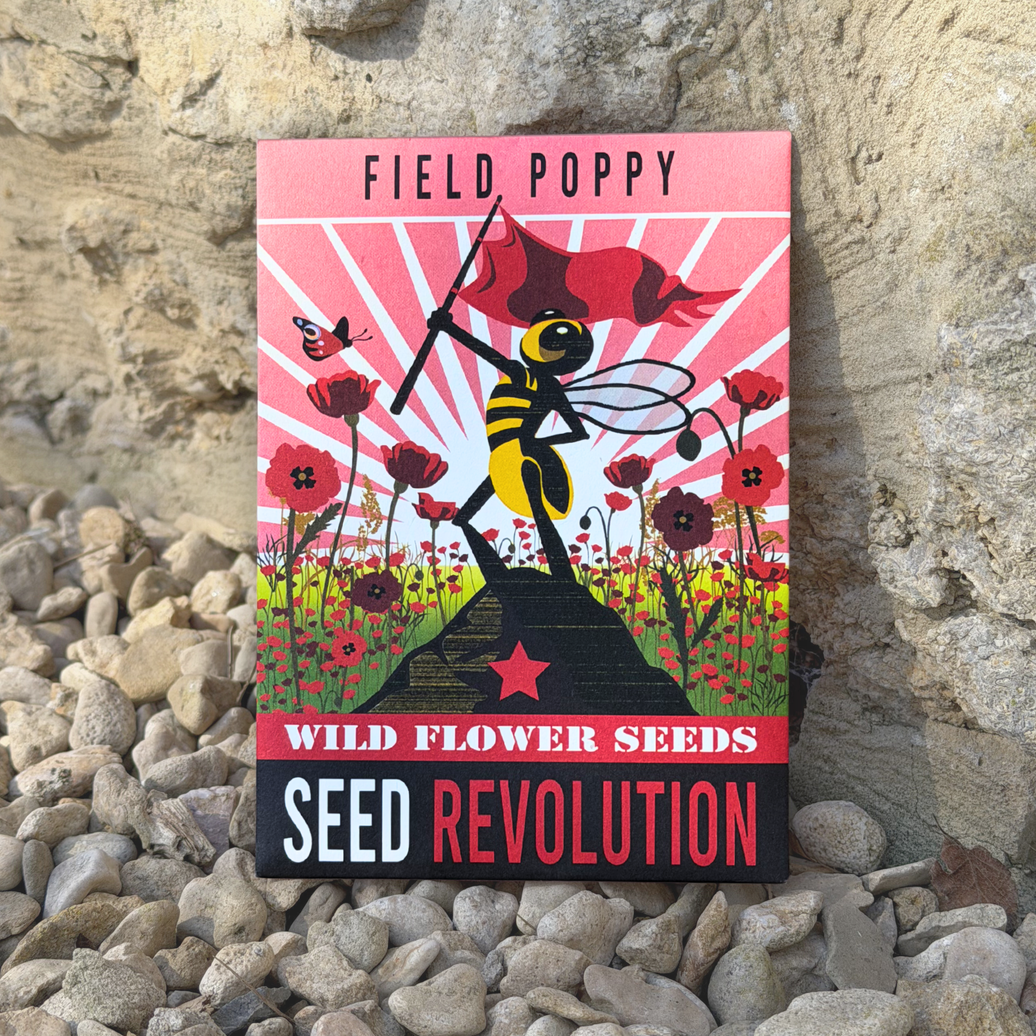 Field Poppy Wildflower Seeds