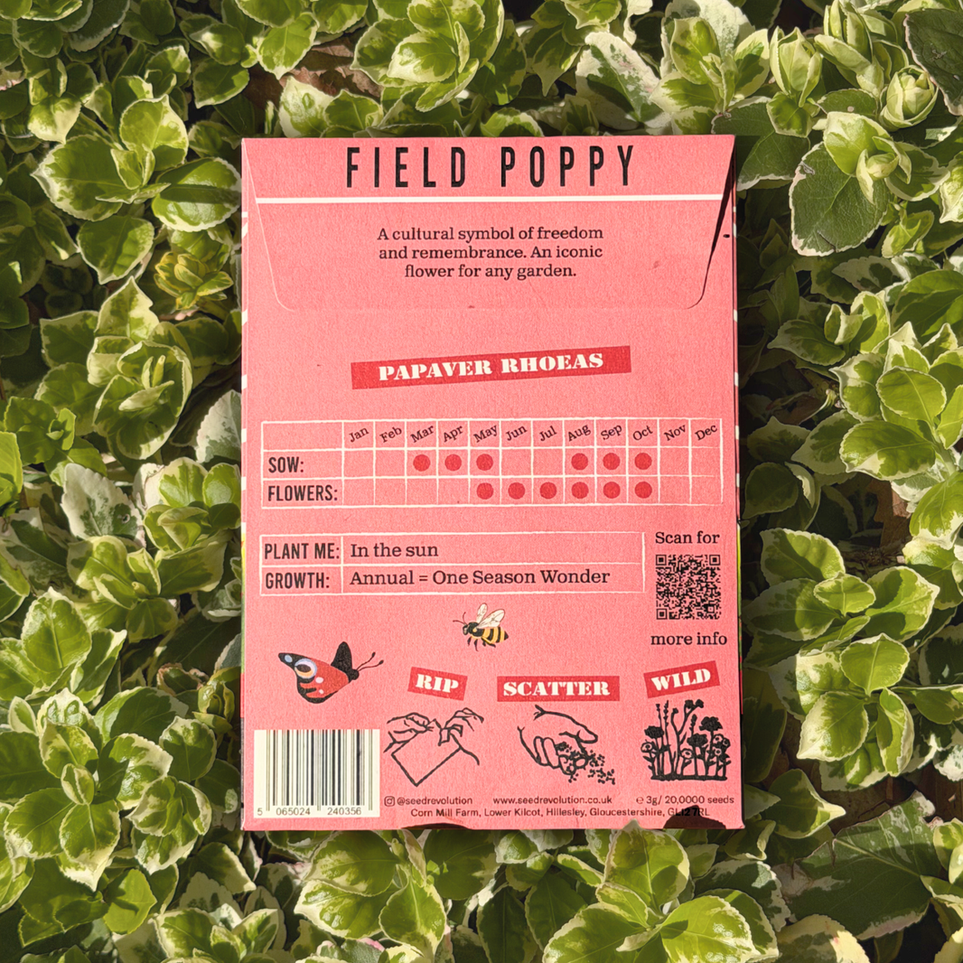 Field Poppy Wildflower Seeds