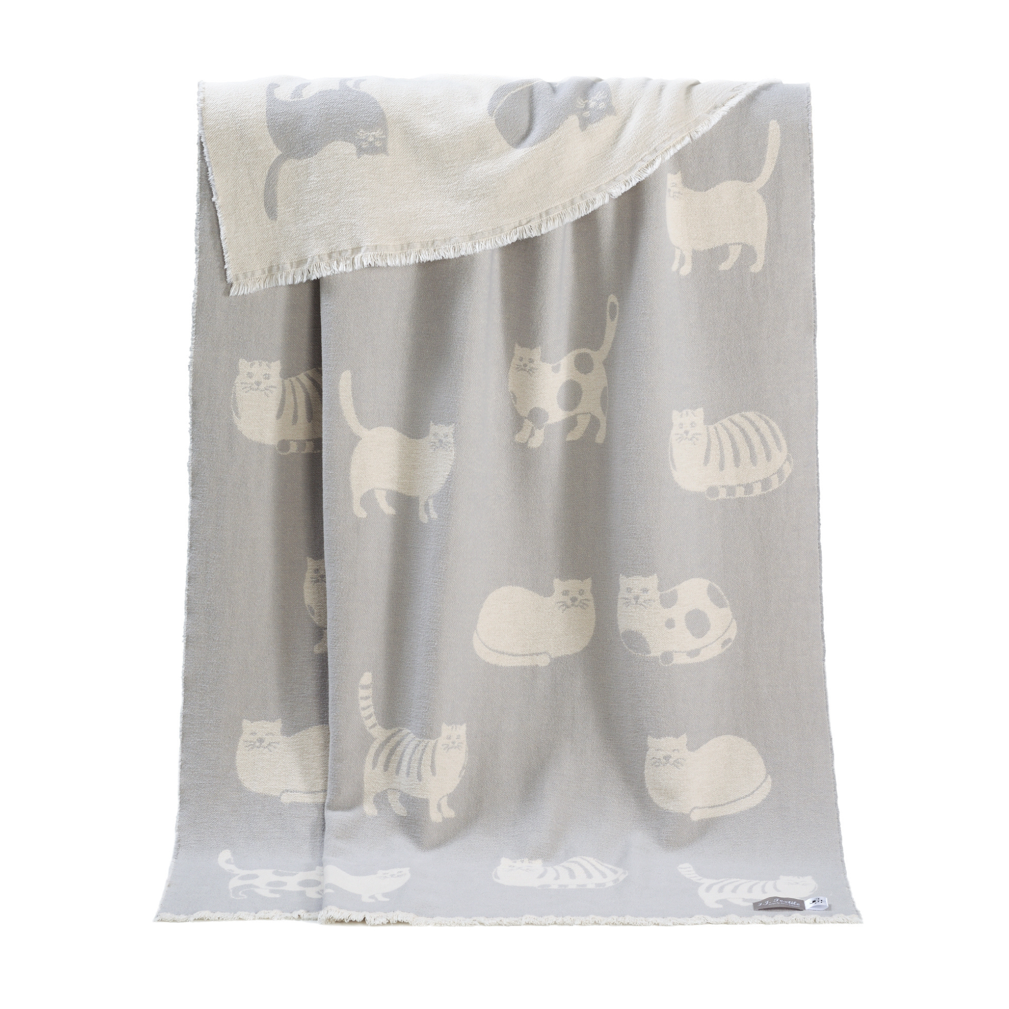 Comfy Cats Design Pure Cotton Blanket