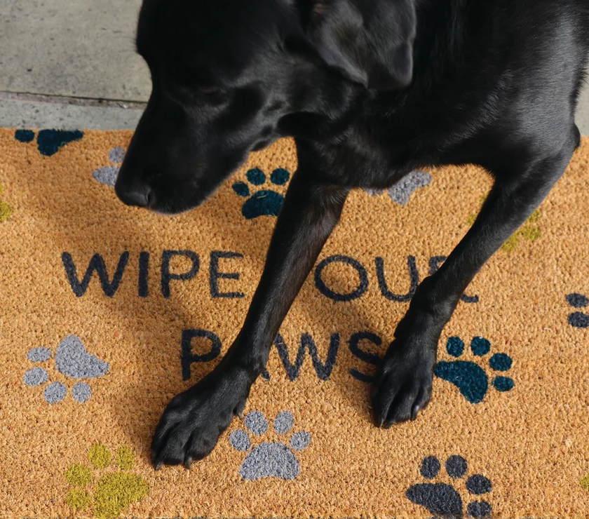 Wipe Your Paws Printed Coir Door Mat