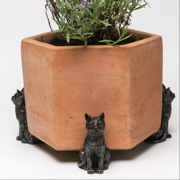 terracotta cat planter pot Sitting Cat Plant Pot Feet – Set of 3