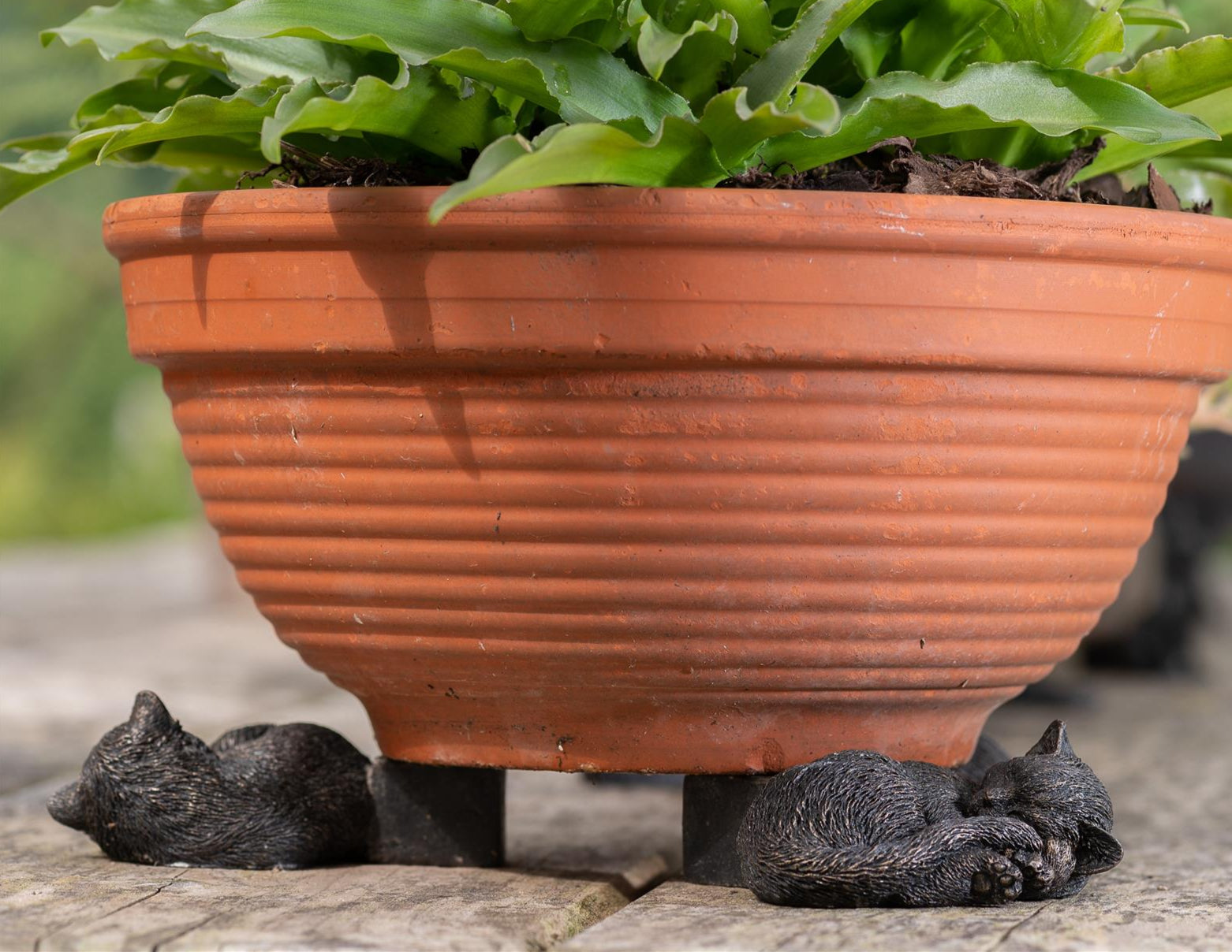 Sleeping Cat Plant Pot Feet – Set of 3