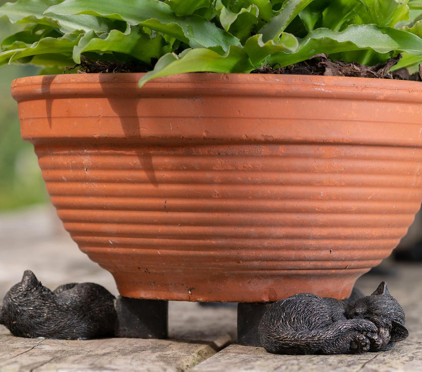Sleeping Cat Plant Pot Feet – Set of 3