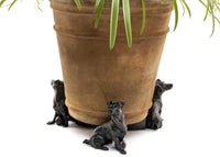 Jack Russell Plant Pot Feet – Set of 3