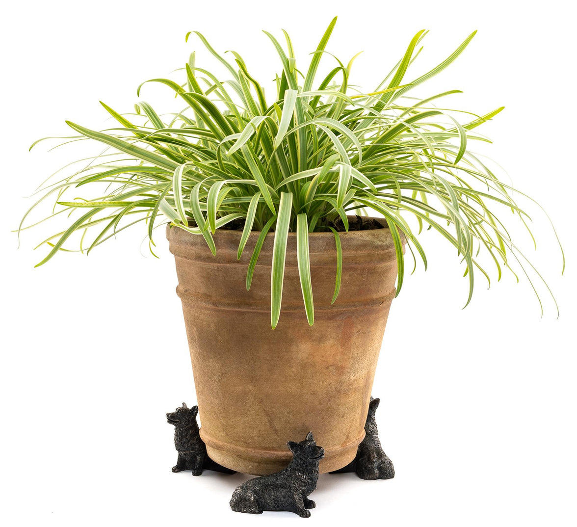 Corgi Plant Pot Feet – Set of 3