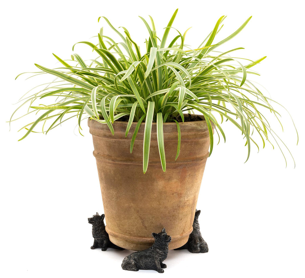Corgi Plant Pot Feet – Set of 3