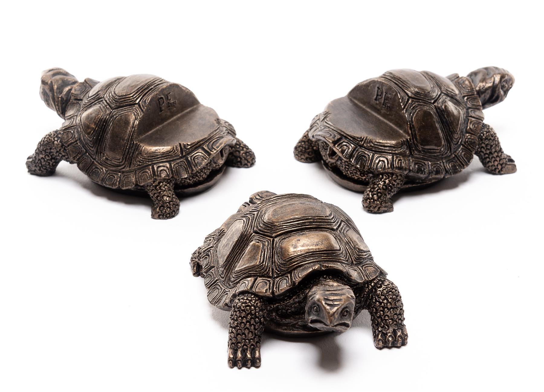 Tortoise Plant Pot Feet – Set of 3