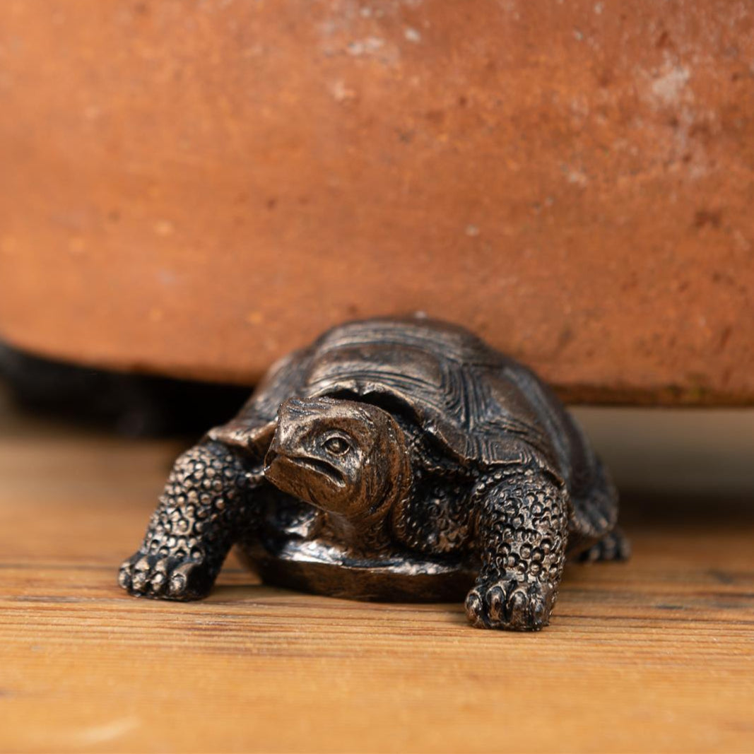 Tortoise Plant Pot Feet – Set of 3