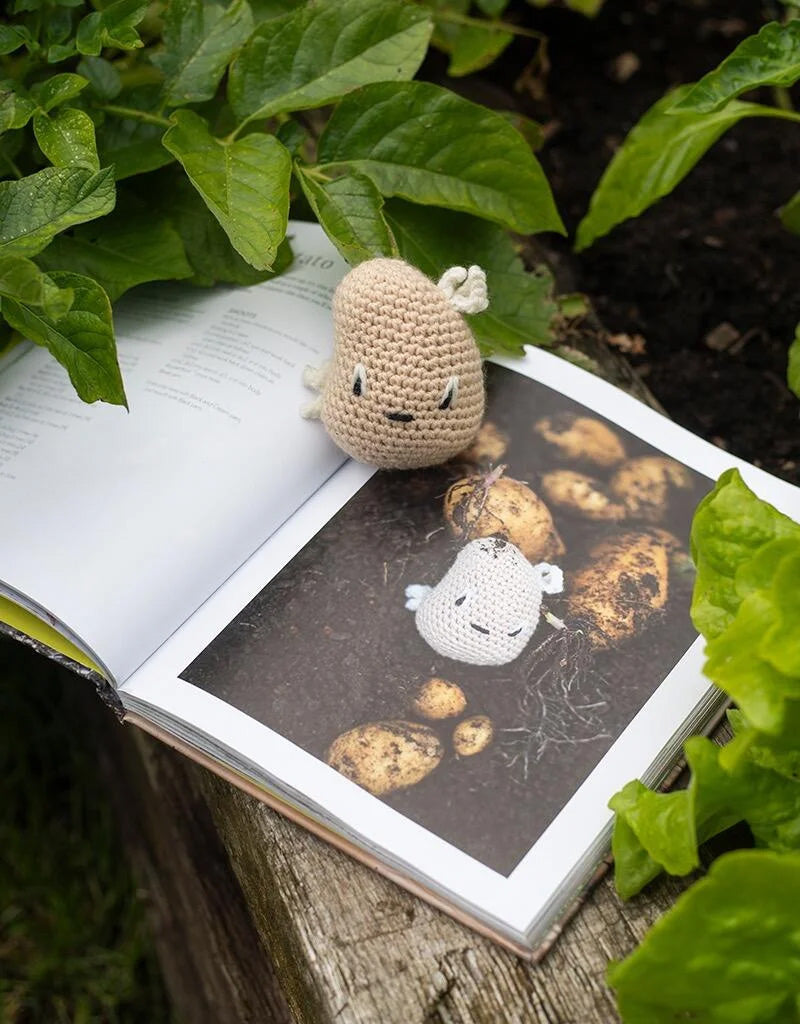 Alexandra's Garden: Vegetables Book by Kerry Lord