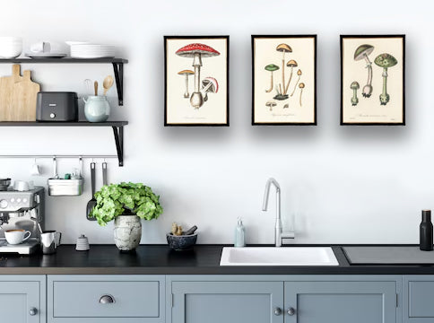 Beautiful Framed Mushroom Prints - Set of Three